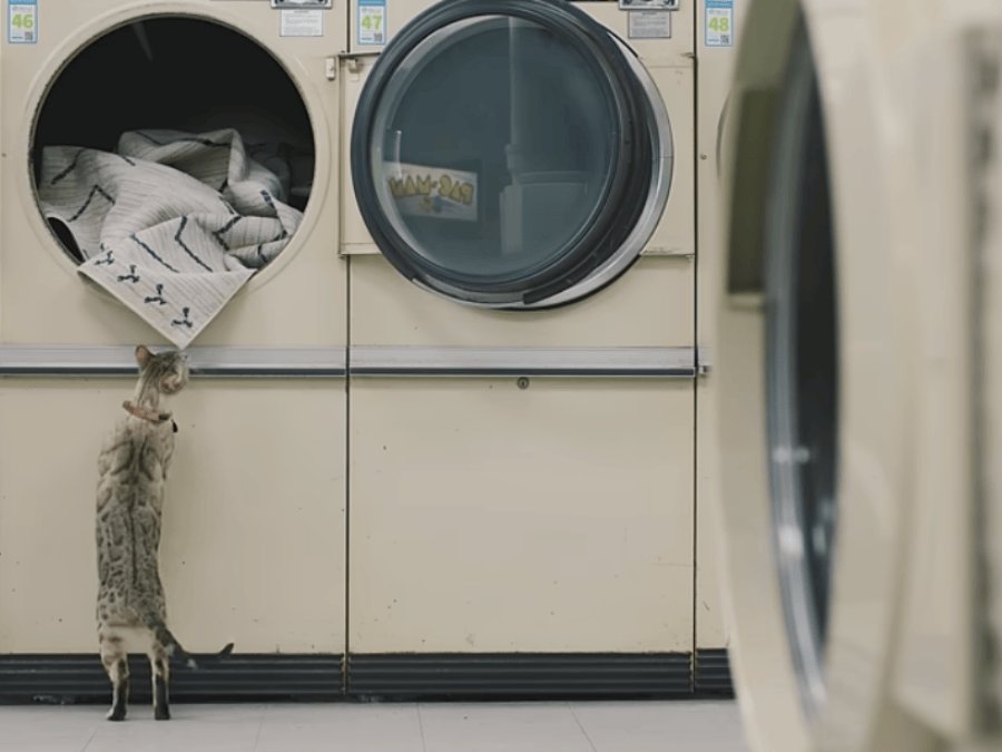 Is It Hygienic to Wash Rugs in a Washing Machine?